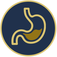 stomach